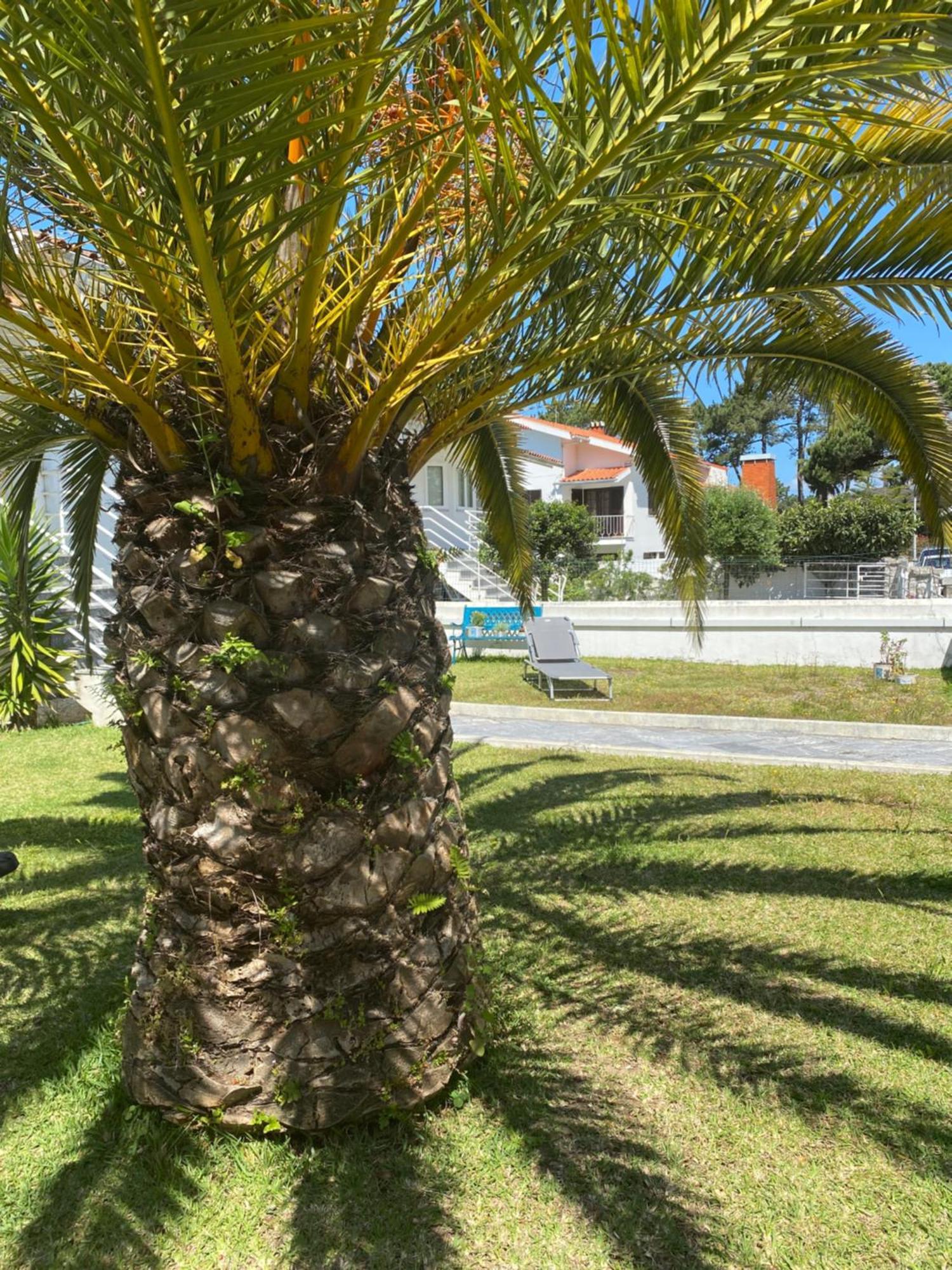 Itaca Experience Apartment Viana do Castelo Exterior foto